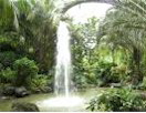 Philippines Hotels