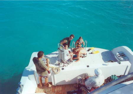 Handicapped red sea diving1