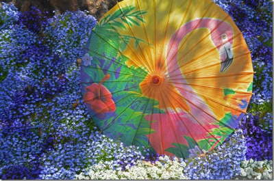 parasol_thumb[1]
