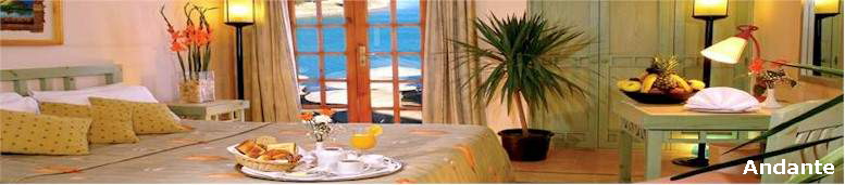 Andante