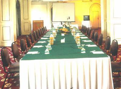 Helnan Palestine Hotel Alexandria - Meeting2 