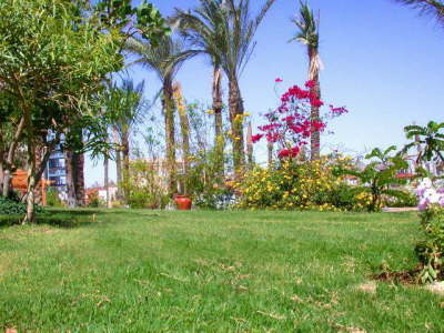 Aida Verdi Hotel Hurghada - Garden2