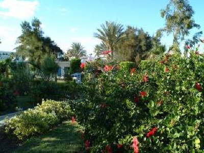 El Samaka Beach Hotel Hurghada -Garden