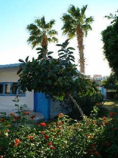 El Samaka Beach Hotel Hurghada - Beach-Garden1