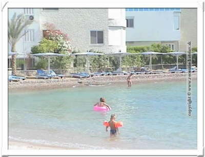 Hurghada Sea Gull Resort-sea gull beach