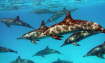 Le Meridien Makadi bay Hotel-Diving2