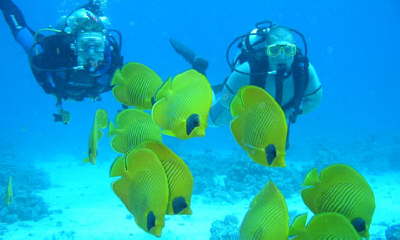 Le Meridien Makadi bay Hotel-Diving