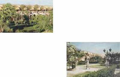 Mashrabia Village Hurghada - Garden 
