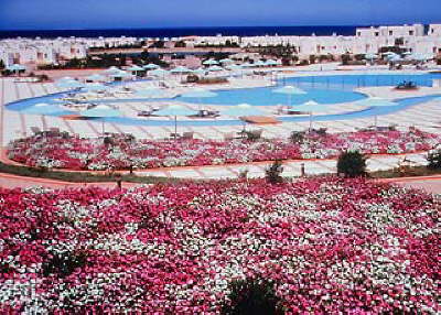 Melia Pharaoh Hotel Hurghada- pool