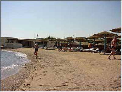 The Tree Corners Amal Village Hurghada - beach 2