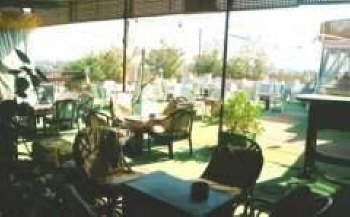 Golden Palace Hotel - Terrace