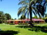 Jolie Ville Movenpick Luxor Resort - garden
