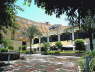 Mercure Luxor Hotel - garden