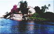 Amoun Island Hotel Aswan - main view
