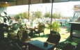 Golden Palace Hotel - Terrace