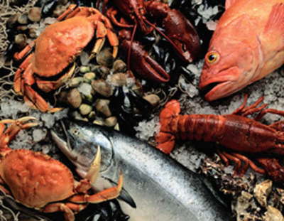 Aida Sharm Hotel-fishfood