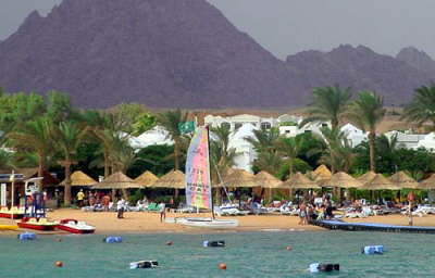 Camel Dive Club & Hotel-beach