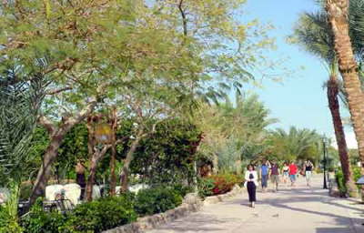 Camel Dive Club & Hotel-garden