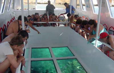 Camel Dive Club & Hotel-glass-bottom-big