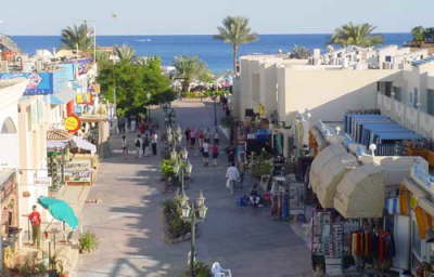Camel Dive Club & Hotel-shopping
