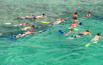 Camel Dive Club & Hotel-snorkelling