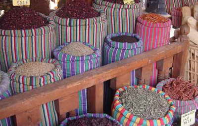 Camel Dive Club & Hotel-spices-big