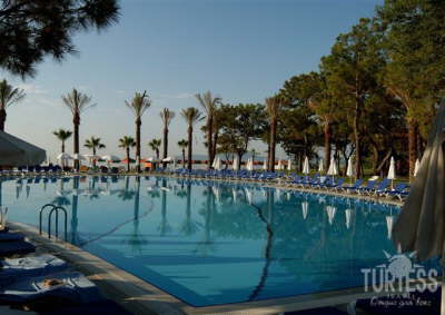 Cataract Resort Sharm- Pool