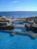 Hauza Beach Resort-nicepool