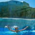 Laguna Vista Resort-Sea2