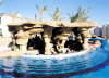 Maxim Plaza Sharm-Pool 1