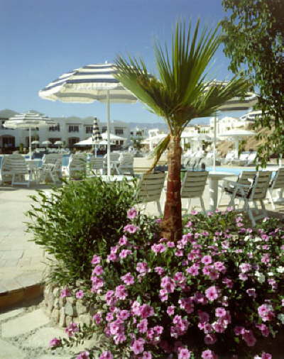 Noria Resort Sharm-NoriaPool2