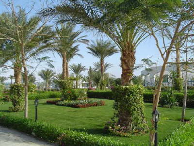 Royal Rojana Resort Sharm-Garden1