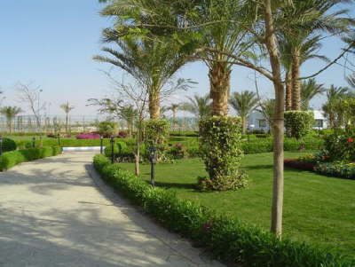 Royal Rojana Resort Sharm-Garden 2
