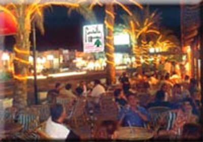 Sanafir Village Sharm-restaurant