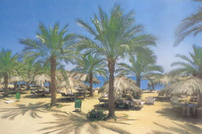 Seti Sharm Hotel-Garden