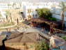 Sharm INN Amarein-View