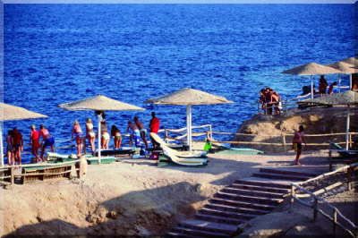 Sharm Reef Hotel-Beach3