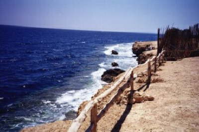 Sharm Reef Hotel-beach4