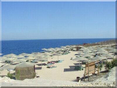 Sharm Reef Hotel-beach5