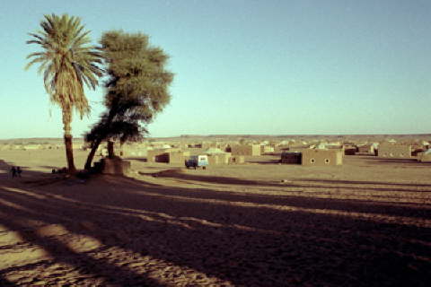 02-dakhla-oasis