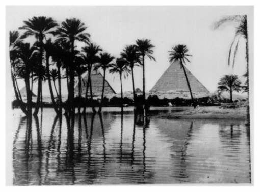 Cairo Egypt 16