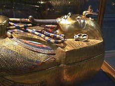 Egyptian Museum SARC1 museum inside