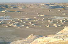 Farafra White Desert Egypt 10