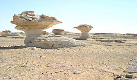 Farafra White Desert Egypt 15