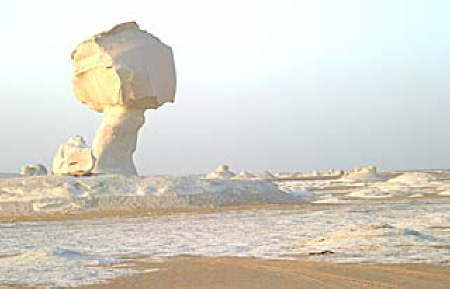 Farafra White Desert Egypt 3
