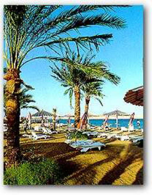Hurghada Egypt8