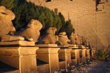 Karnak Temple Luxor19