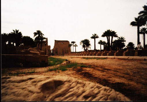 Luxor_Temple_1