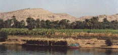 NILE6