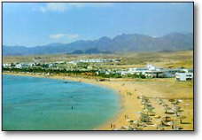 SHARM 1